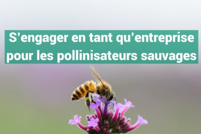 Le Guide Opie x UPGE : agir en faveur des pollinisateurs sauvages en entreprise