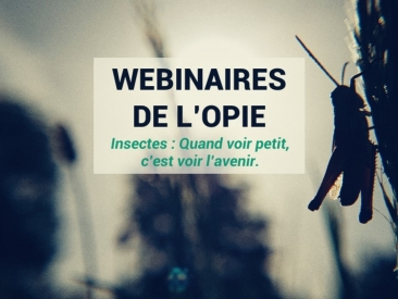 L’Opie reprend son cycle de webinaires !