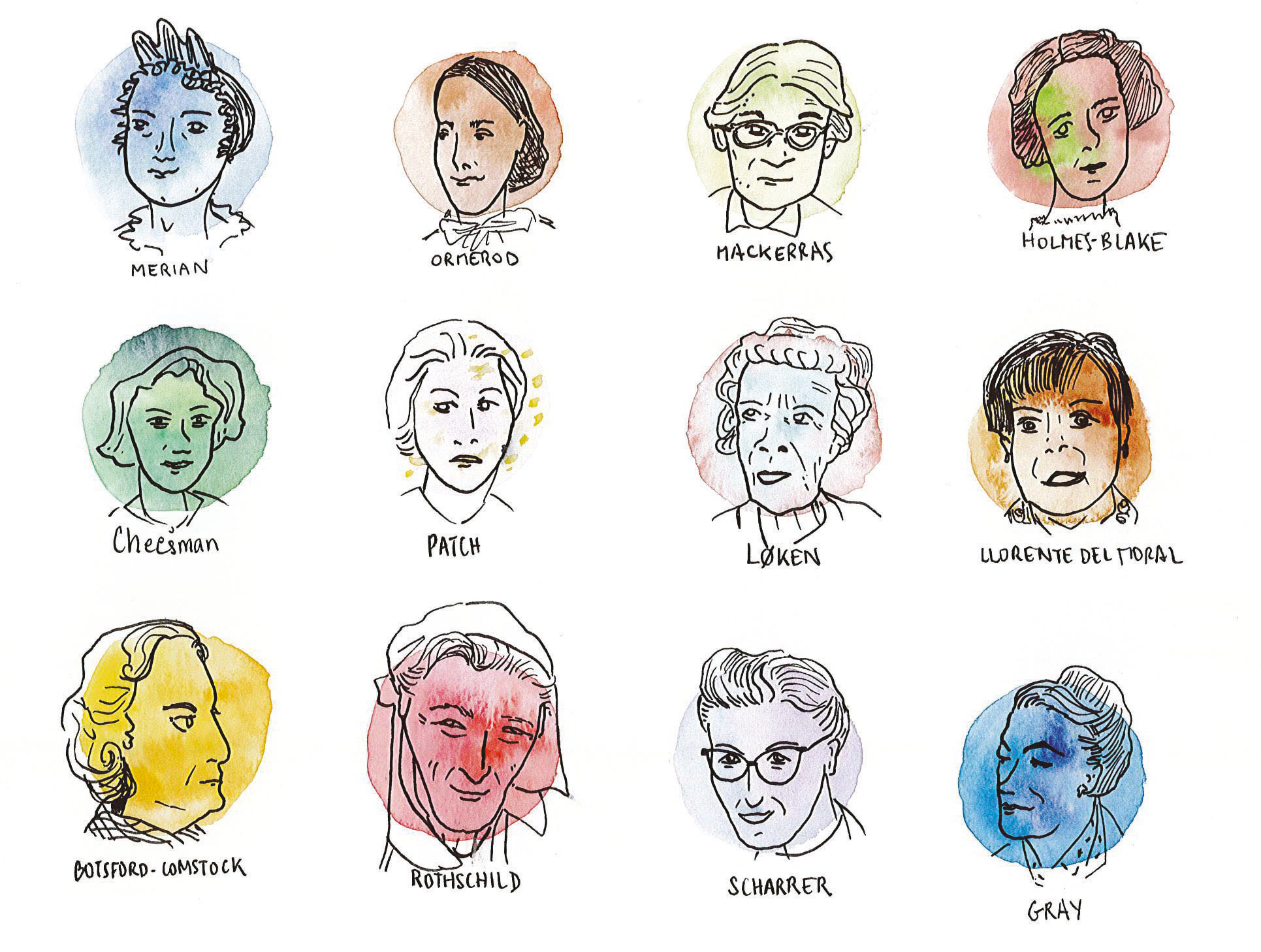 À nos filles et femmes entomologistes