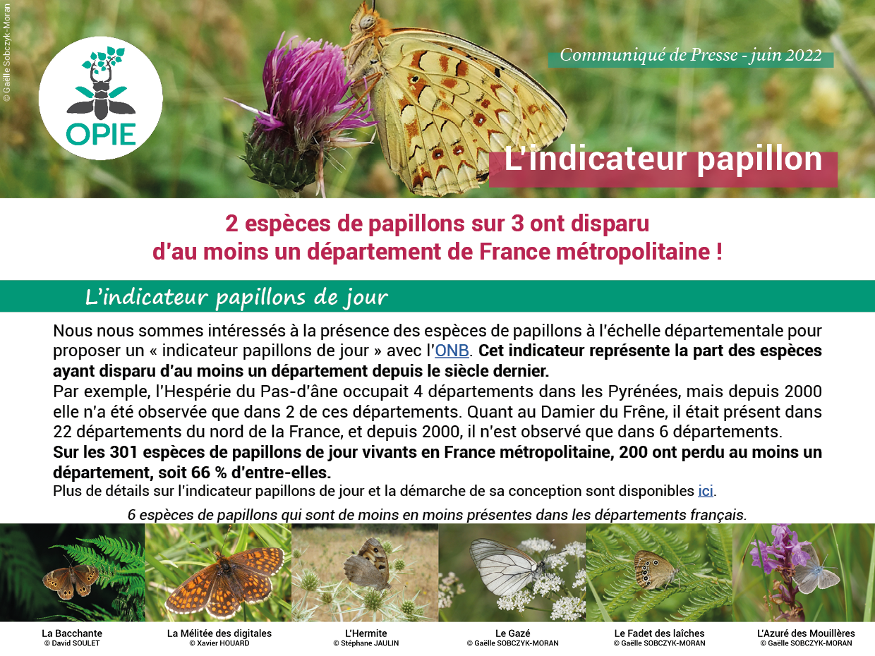 L’indicateur papillon