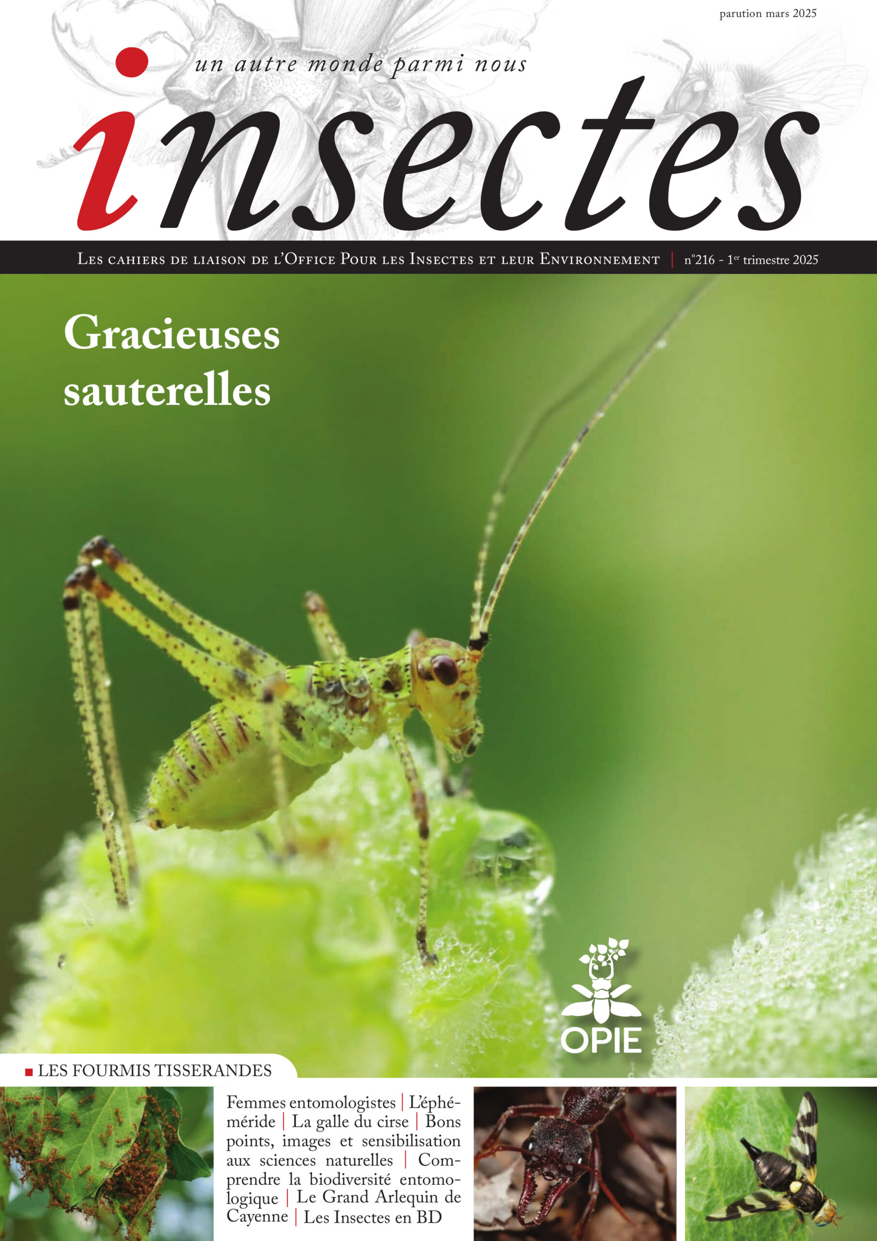Couverture de Numéro 216