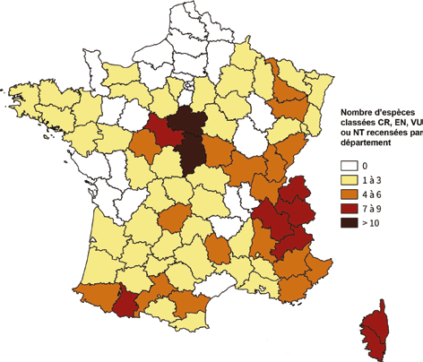 Éphémères de France : le rouge est mis