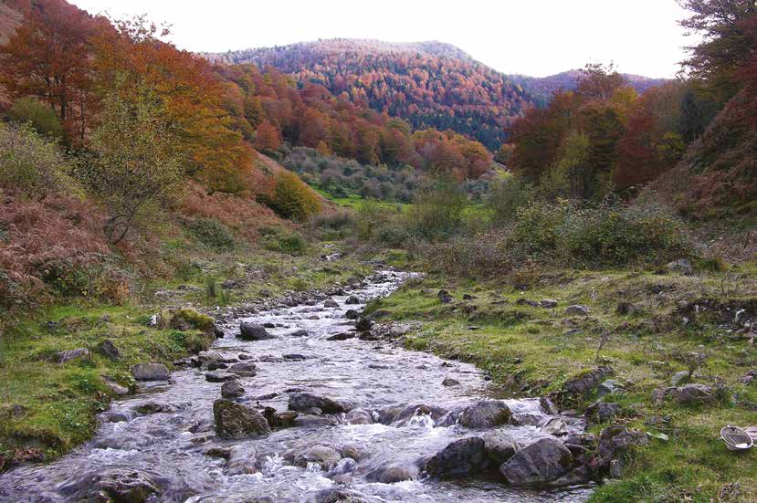 Les perles du Béarn