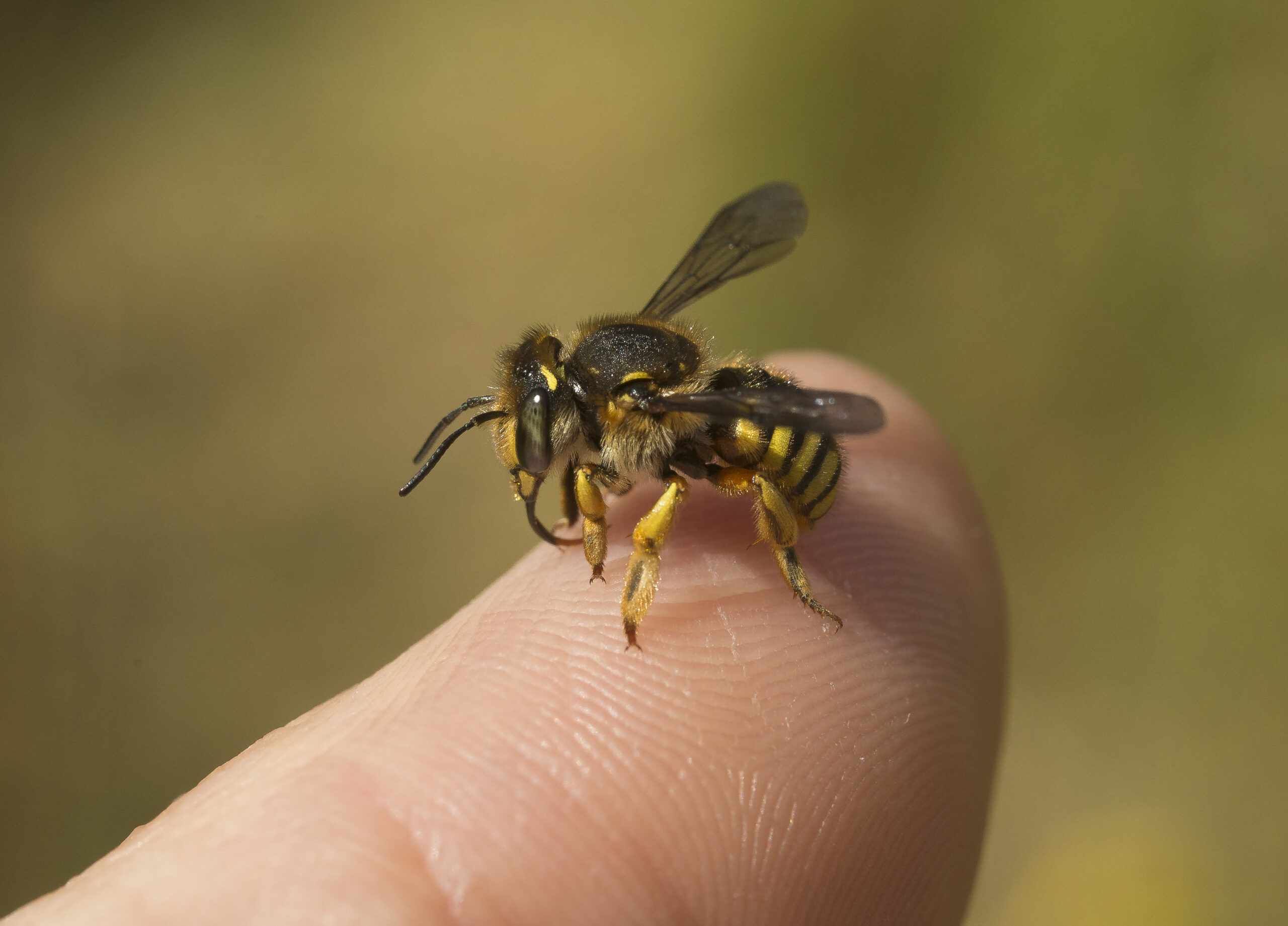 Retour en images sur l’édition 2025 de la Fête de la Nature
