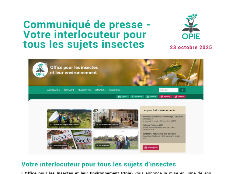 L’Opie, votre interlocuteur pour tous les sujets insectes