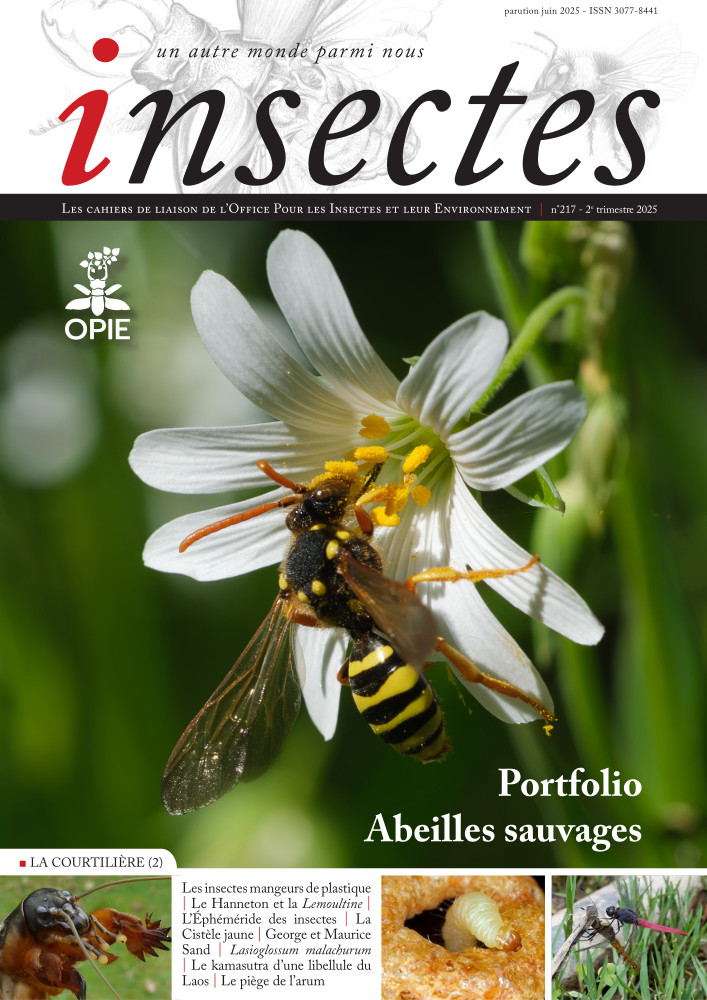 Couverture de Numéro 217