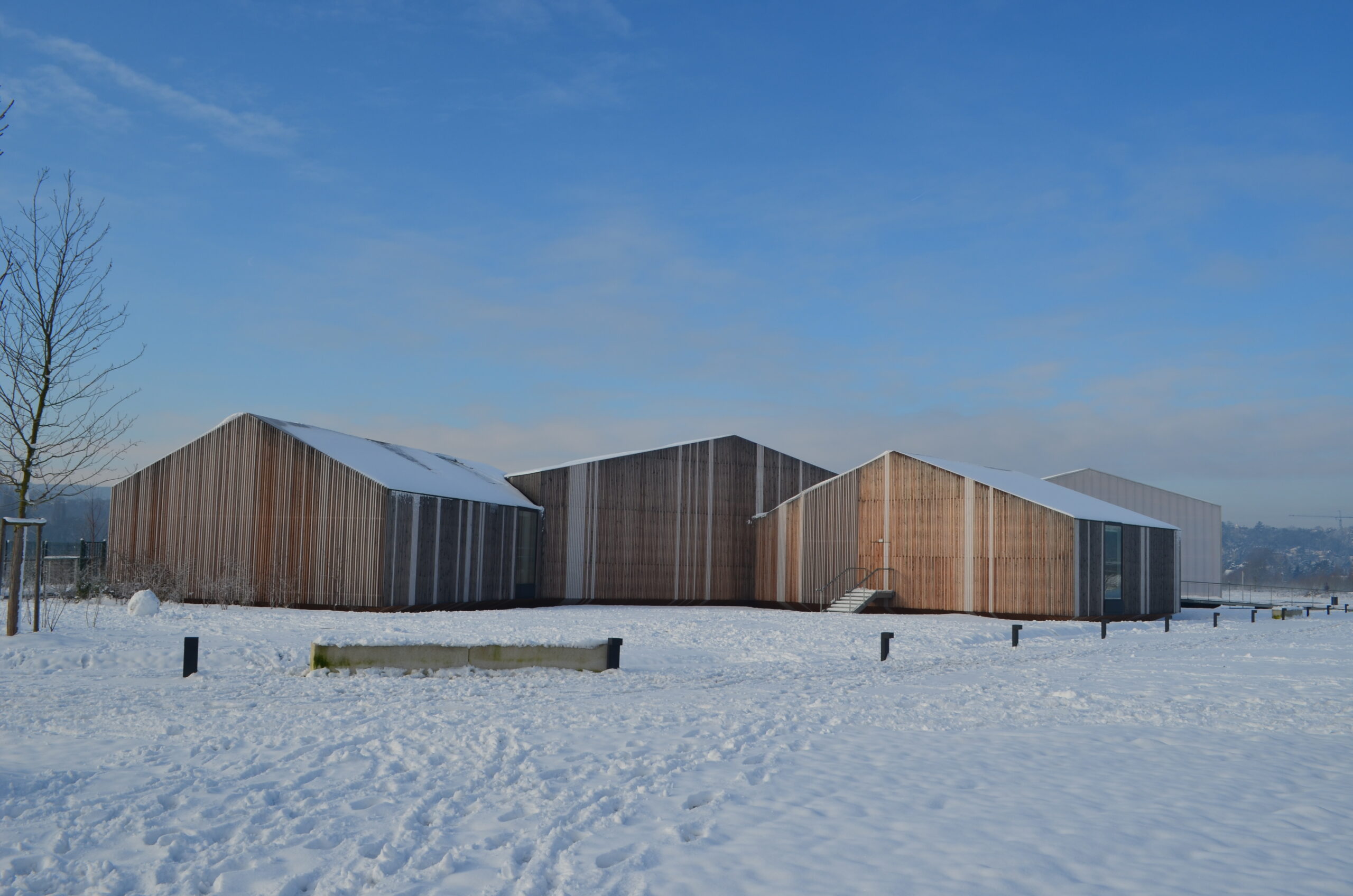 Une fin d’année à la Maison des insectes !