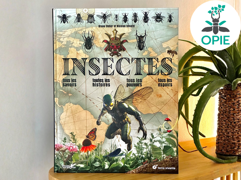 Insectes – Tous les savoirs, toutes les histoires, tous les pouvoirs, tous les espoirs…