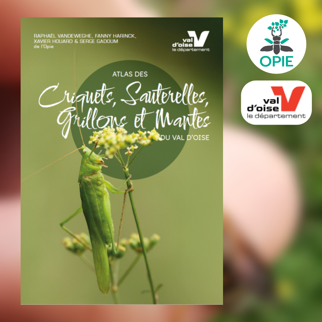 Atlas des criquets, sauterelles, grillons et mantes