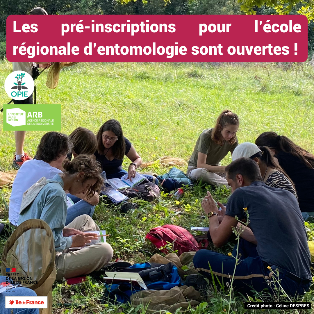 Les pré-inscriptions pour l’école régionale d’entomologie sont ouvertes !