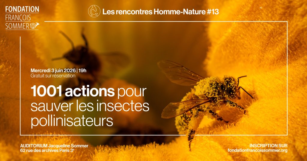 1001 actions pour sauver les insectes pollinisateurs