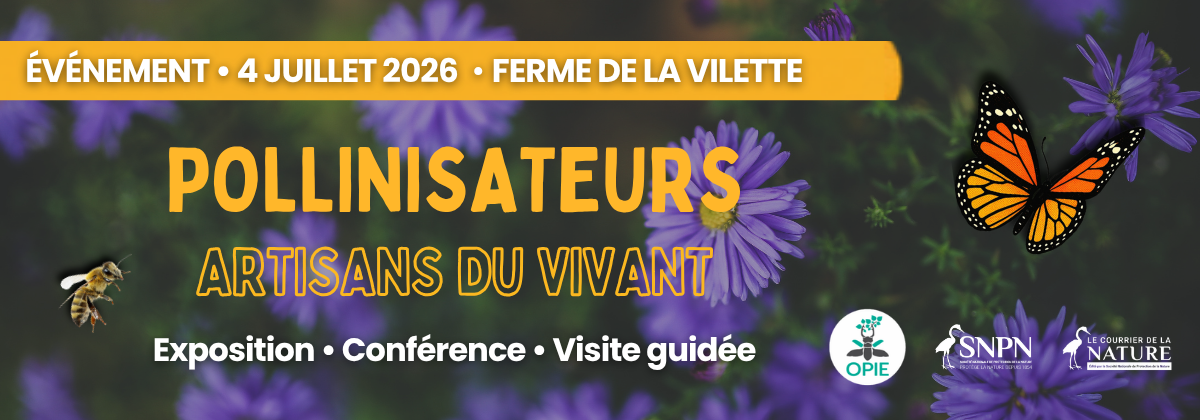 Découvrez les pollinisateurs autrement le 4 juillet à la Ferme de la Villette
