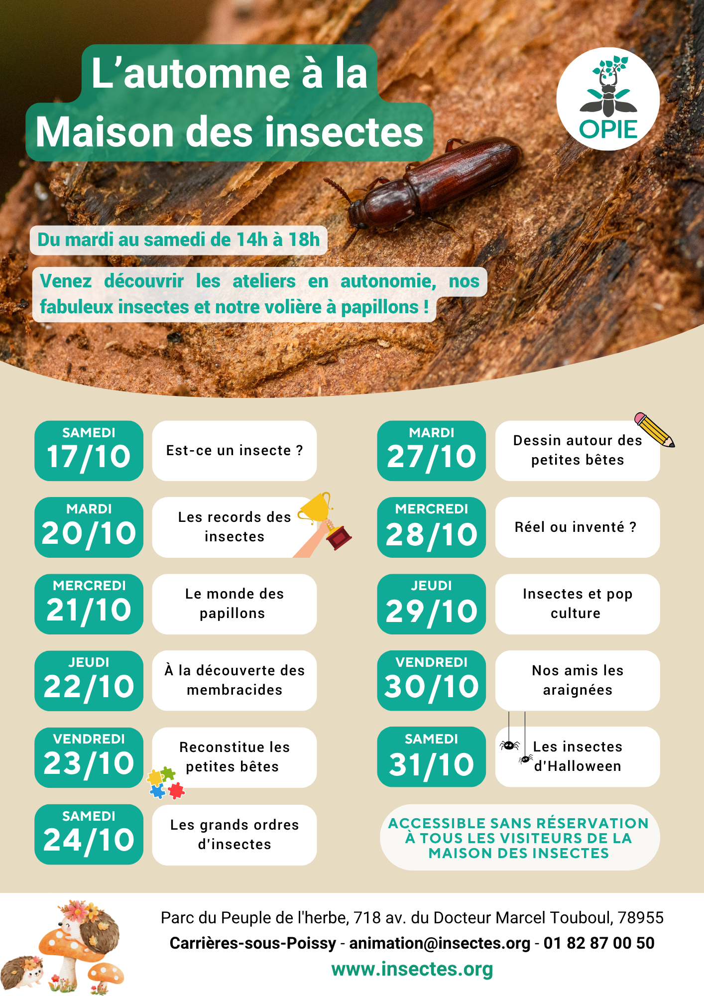 Les vacances d&rsquo;octobre à la Maison des insectes – Animations & sorties