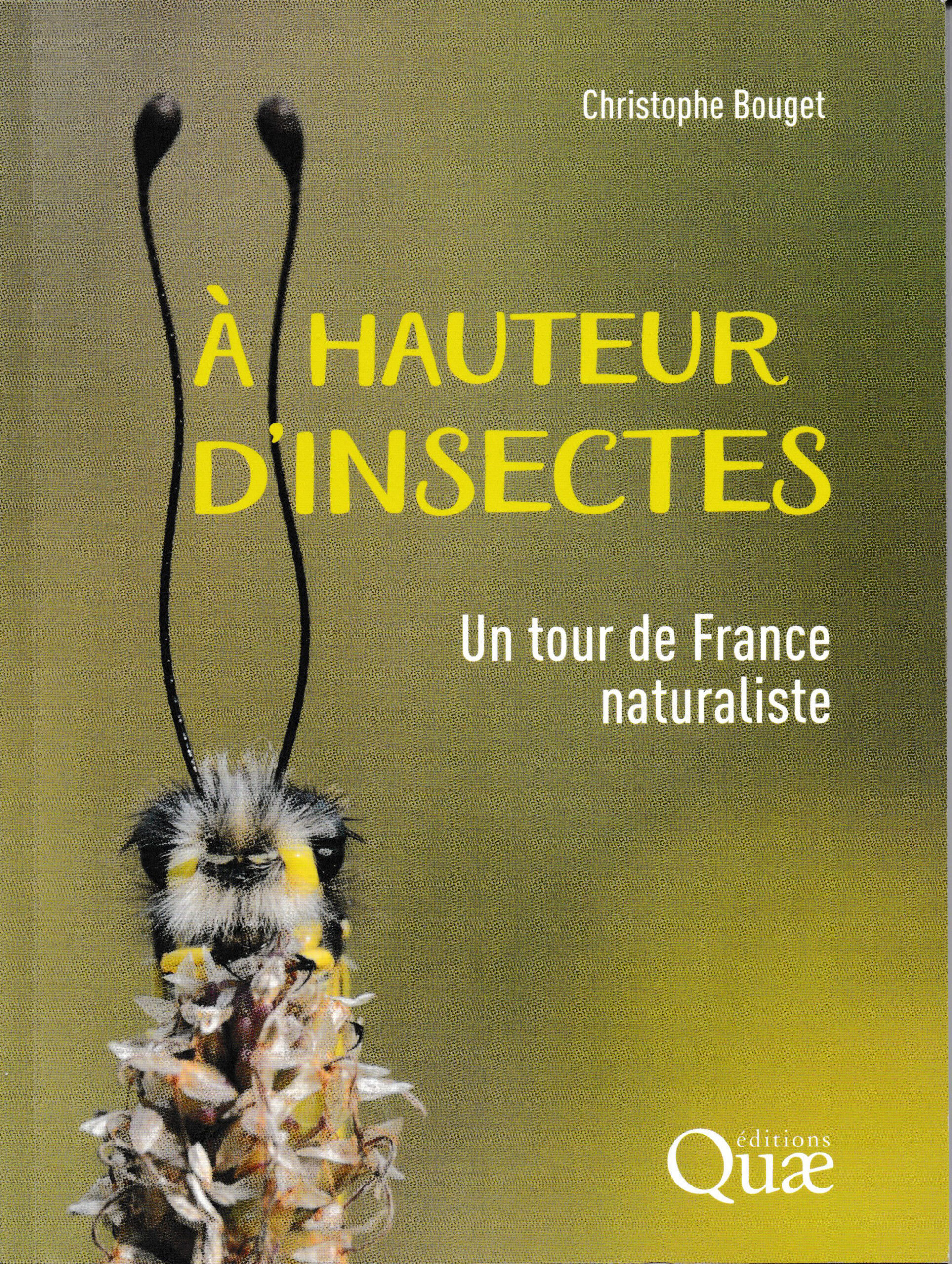À hauteur d’insectes, un tour de France naturaliste