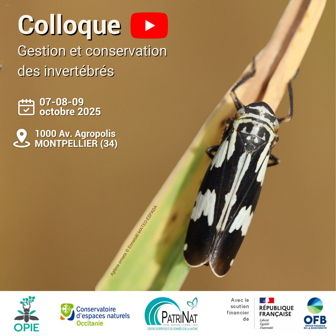 Les rediffusions du colloque « Gestion et conservation des invertébrés » sont en ligne
